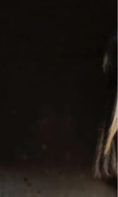 noitinhas_A Correvaidille - Xestión e catalización cultural, comunicación creativa, organización de eventos e dinamización sociocultural - noitiNHas